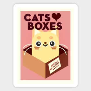 Cats love boxes Magnet